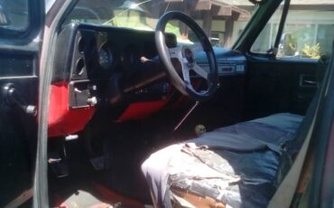 Chevy-cheyenne-k-10-1975-grey-6