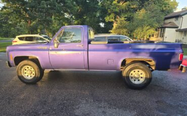 Chevy-cheyenne-super-20-1974-blue-3