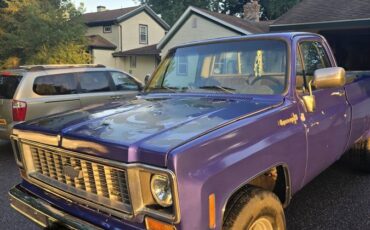 Chevy-cheyenne-super-20-1974-blue-4