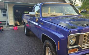 Chevy-cheyenne-super-20-1974-blue-6