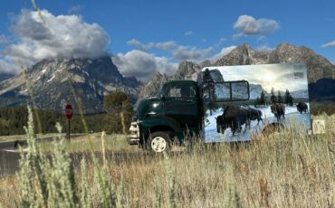 Chevy-coe-truck-camper-1955-green-2
