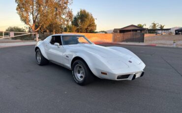 Chevy-corvette-1976-white-7