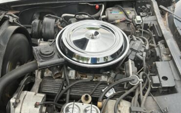 Chevy-corvette-1978-9