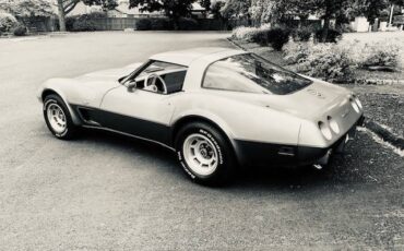 Chevy-corvette-1978-silver-13