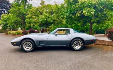Chevy-corvette-1978-silver-14