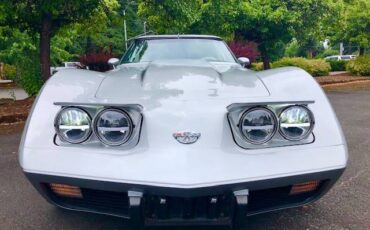 Chevy-corvette-1978-silver-7