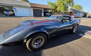 Chevy-corvette-1979-blue-22