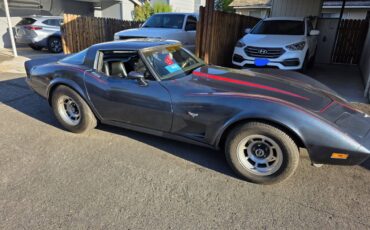 Chevy-corvette-1979-blue-5