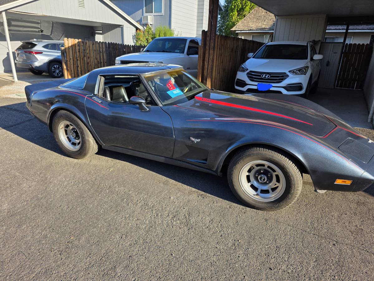 Chevy-corvette-1979-blue-5