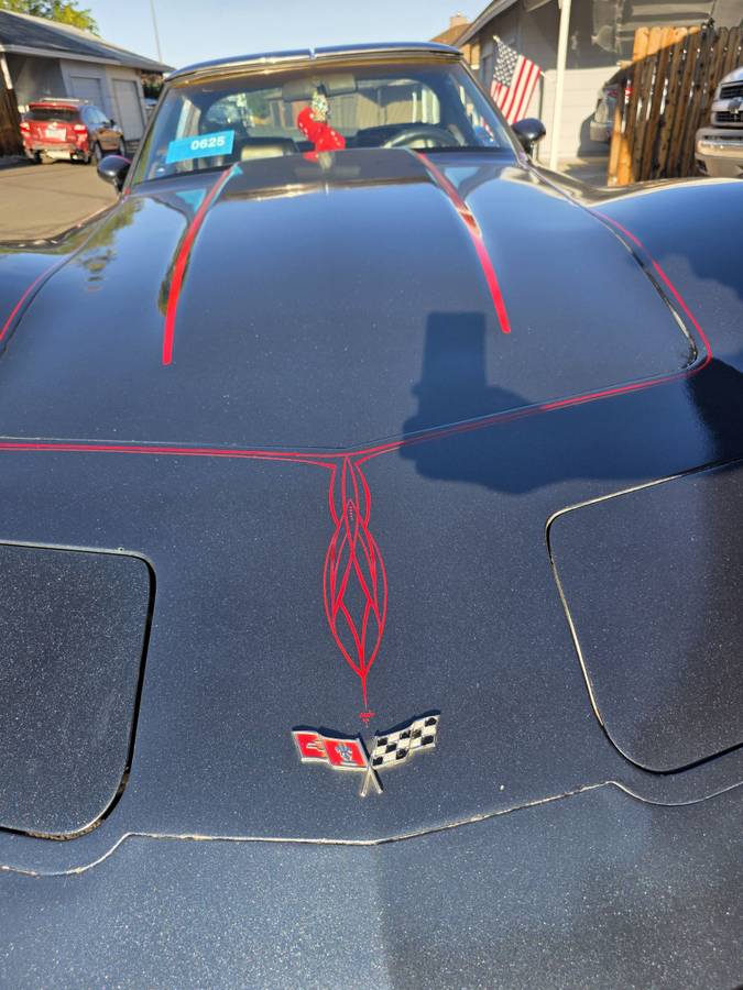 Chevy-corvette-1979-blue-7