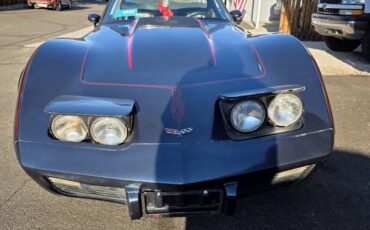 Chevy-corvette-1979-blue-8