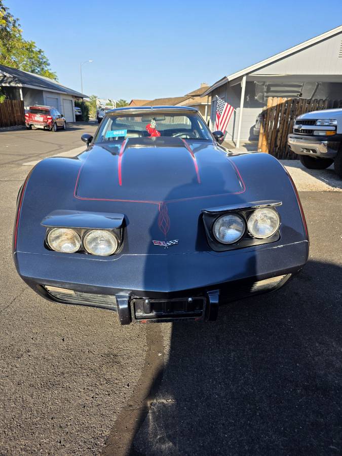 Chevy-corvette-1979-blue-8