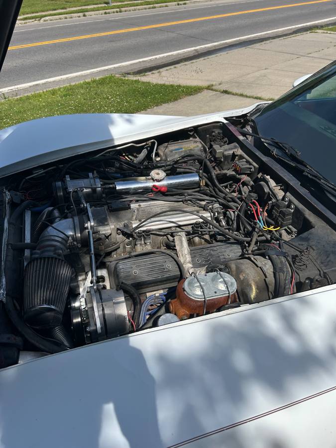 Chevy-corvette-1980-white-6