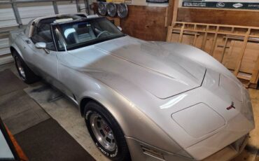 Chevy-corvette-1981-silver-11