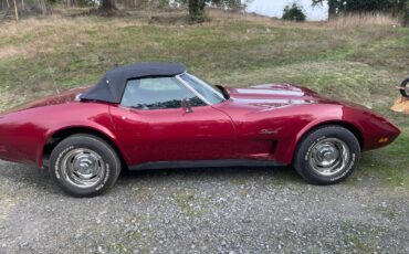 Chevy-corvette-convertible-1974-5