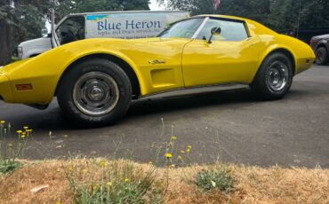 Chevy-corvette-stingray-coupe-1974-yellow