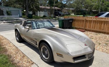 Chevy-corvette-stingray-coupe-1982-silver