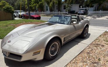 Chevy-corvette-stingray-coupe-1982-silver-5