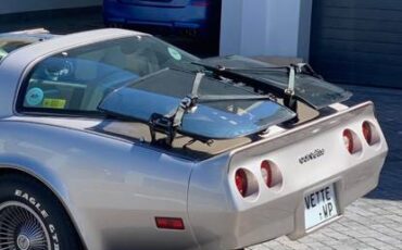 Chevy-corvette-stingray-coupe-1982-silver-7