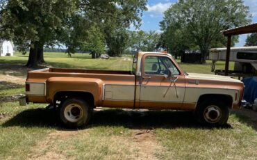 Chevy-custom-1979-brown-1