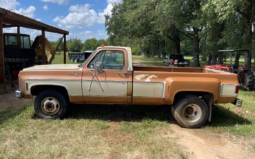 Chevy-custom-1979-brown-2