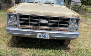 Chevy-custom-1979-brown-3