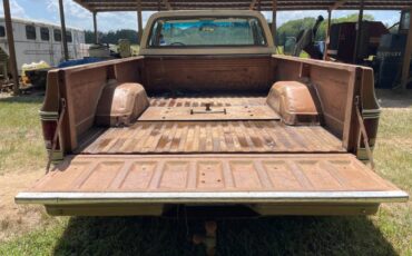 Chevy-custom-1979-brown-6