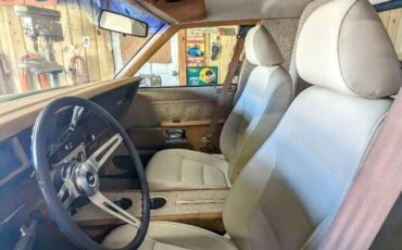 Chevy-custom-pickup-1990-6
