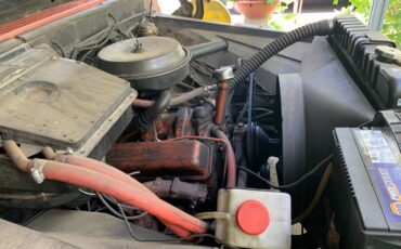Chevy-custom-truck-1966-brown-1
