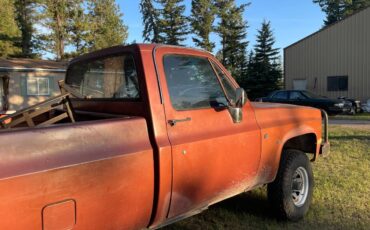 Chevy-diesel-1982-4