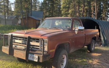 Chevy-diesel-1982-7