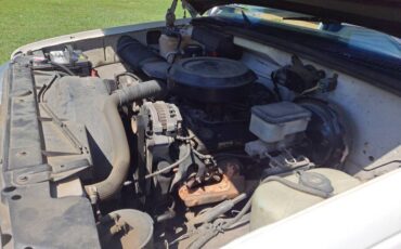 Chevy-dually-1994-white-5