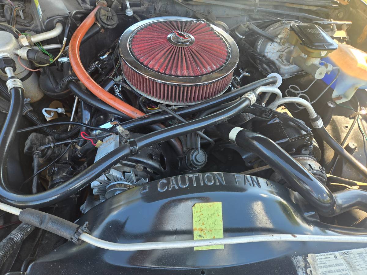Chevy-el-camino-1984-black-15