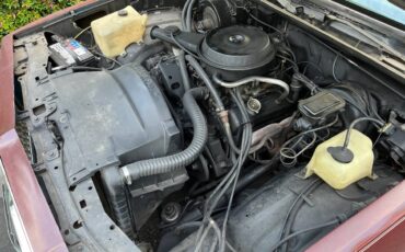 Chevy-elcamino-1980-3