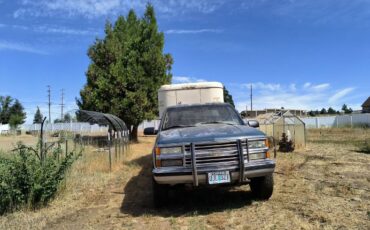Chevy-express-2500-1995-green-5