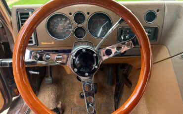 Chevy-g10-van-1978-brown-2