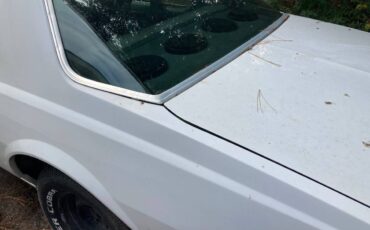 Chevy-impala-1978-white