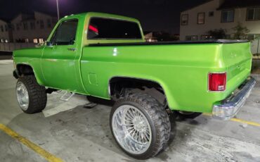 Chevy-k10-4x4-1977-green-8