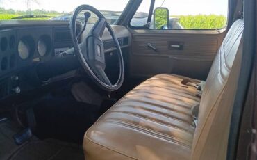 Chevy-k10-4x4-1979-6