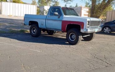 Chevy-k10-4x4-1979-blue