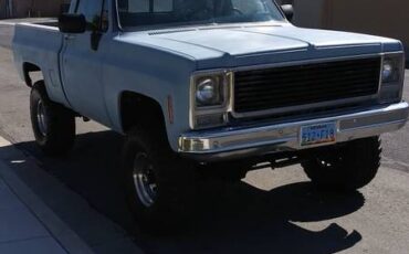 Chevy-k10-4x4-1979-blue-5