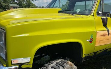 Chevy-k10-4x4-1983-green-6