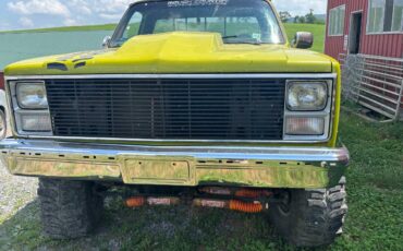Chevy-k10-4x4-1983-green-8