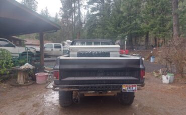 Chevy-k10-4x4-1984-grey-3