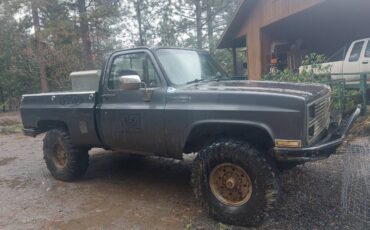 Chevy-k10-4x4-1984-grey-6
