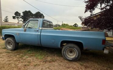 Chevy-k10-4x4-1985-blue-3