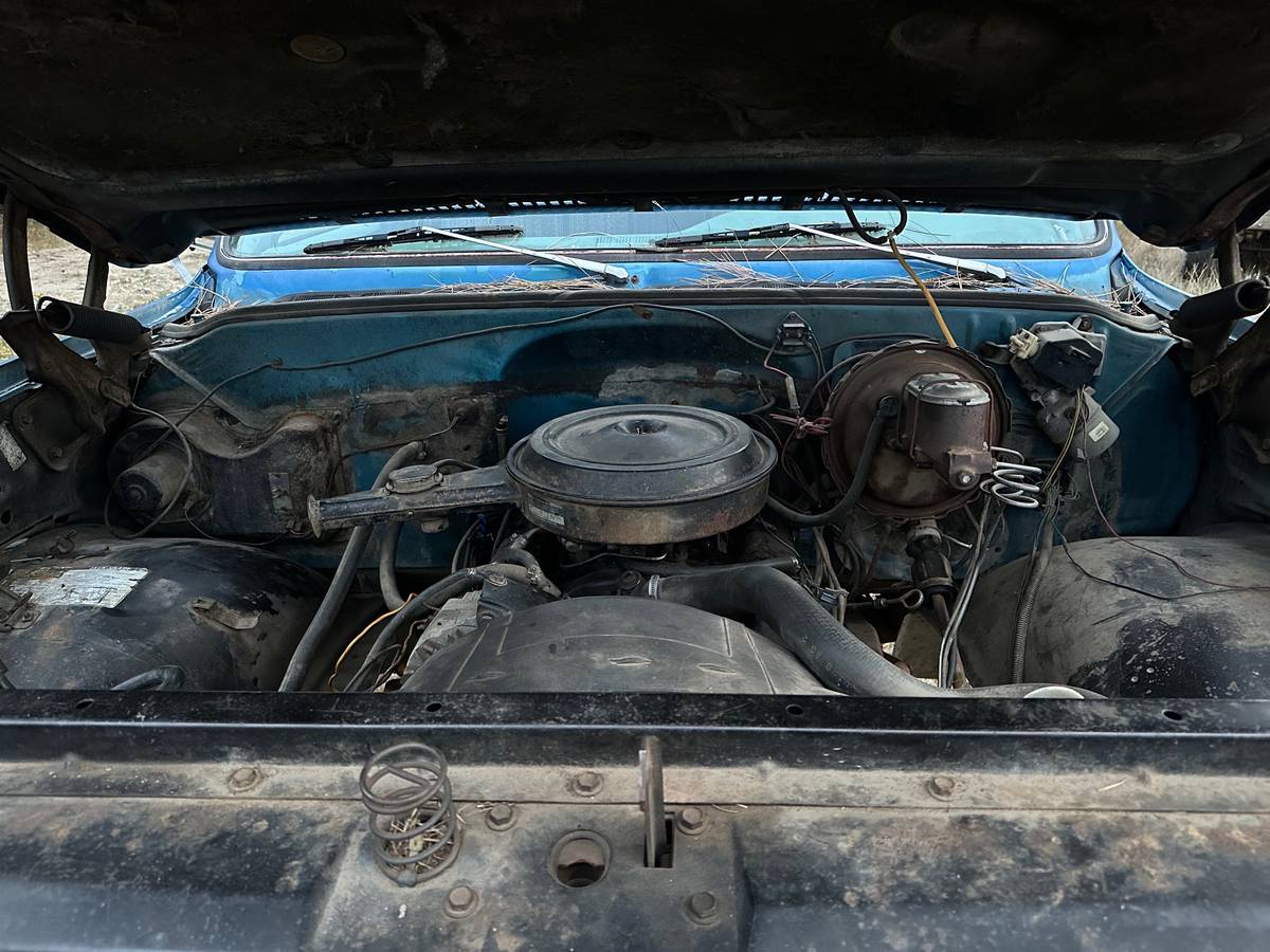 Chevy-k20-1977-blue-9