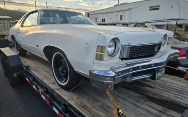 Chevy-monte-carlo-1973-12