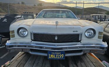 Chevy-monte-carlo-1973-9
