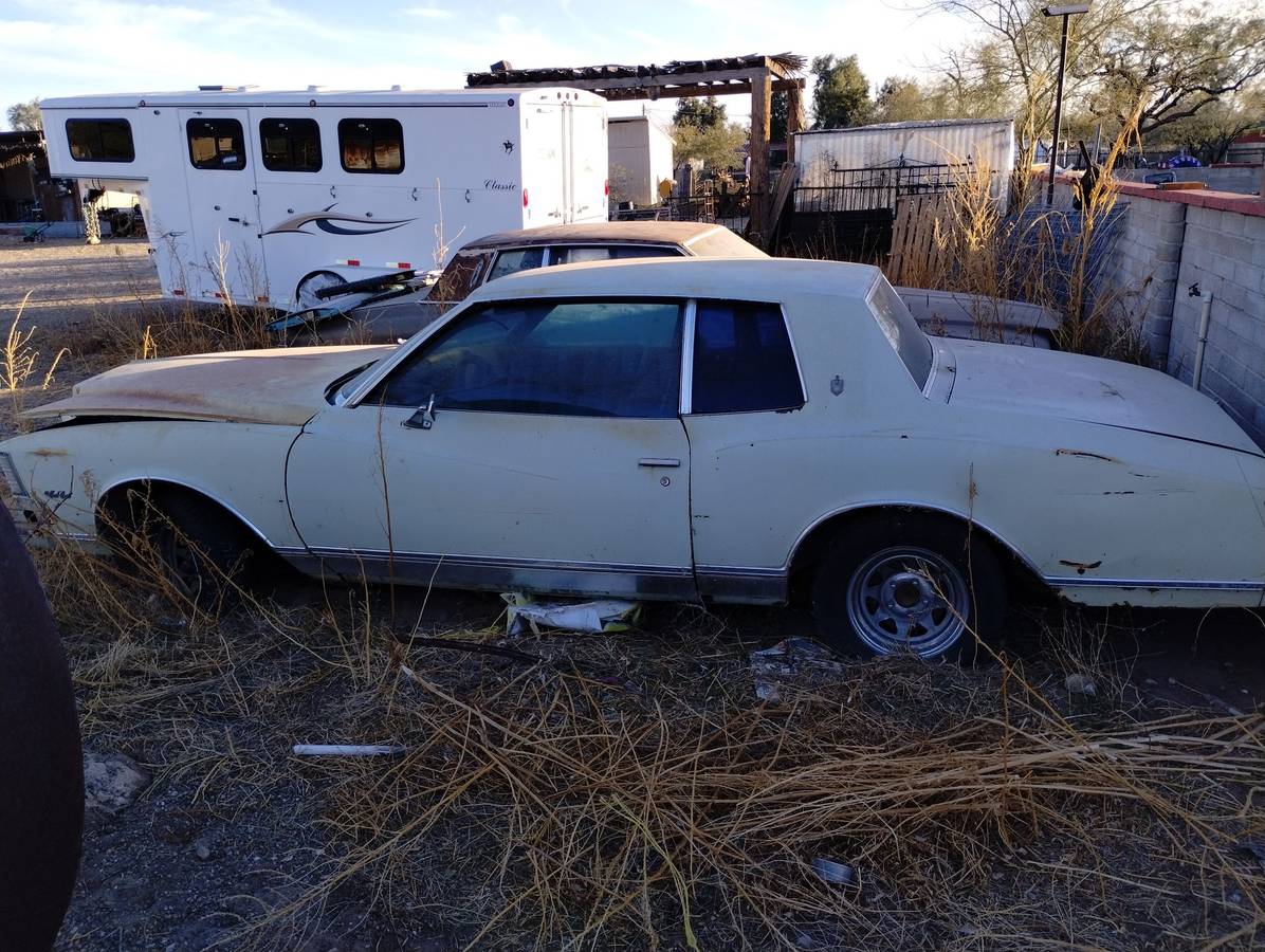 Chevy-monte-carlo-1979-white-3